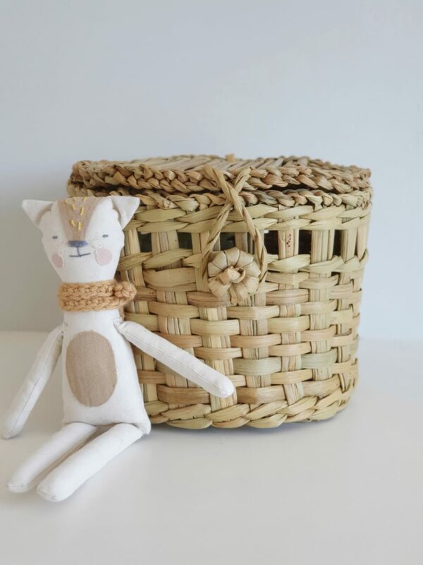 KIT 29 - Imagen 3